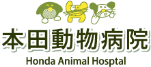 本田動物病院 - 皮膚科、歯科に力を入れている鹿児島の動物病院です。