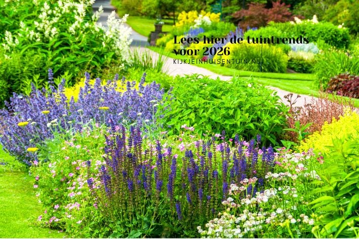 Lees hier de tuintrends voor 2026