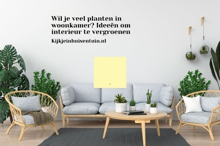 Wil je veel planten in woonkamer? Ideeën om interieur te vergroenen