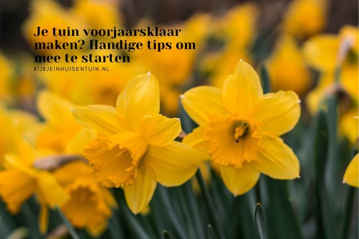 Je tuin voorjaarsklaar maken? Handige tips om mee te starten