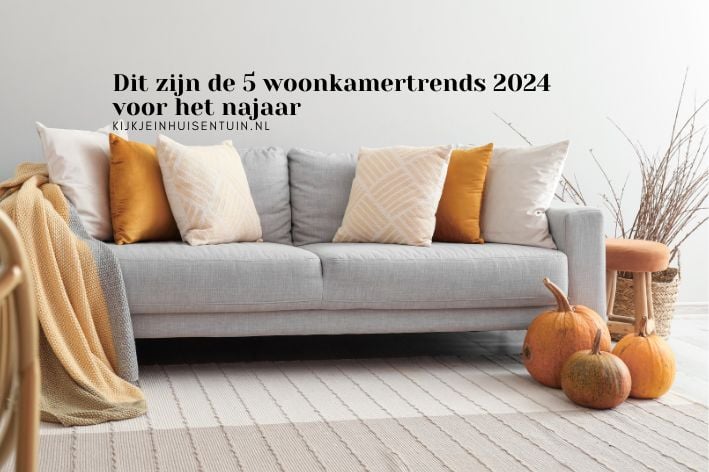 Dit zijn de 5 woonkamertrends 2024 voor het najaar
