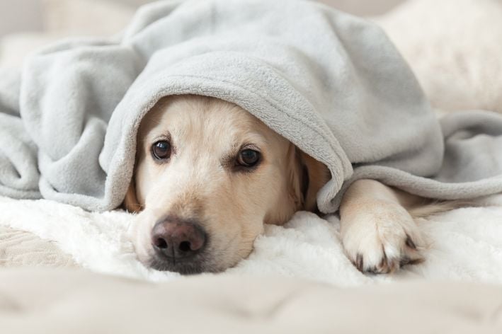 5 tips om je huis warm te houden in de winter