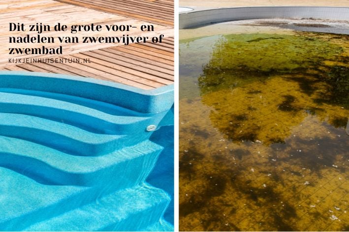 Dit zijn de grote voor- en nadelen van zwemvijver of zwembad