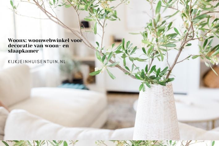 Woonx: woonwebwinkel voor decoratie van woon- en slaapkamer