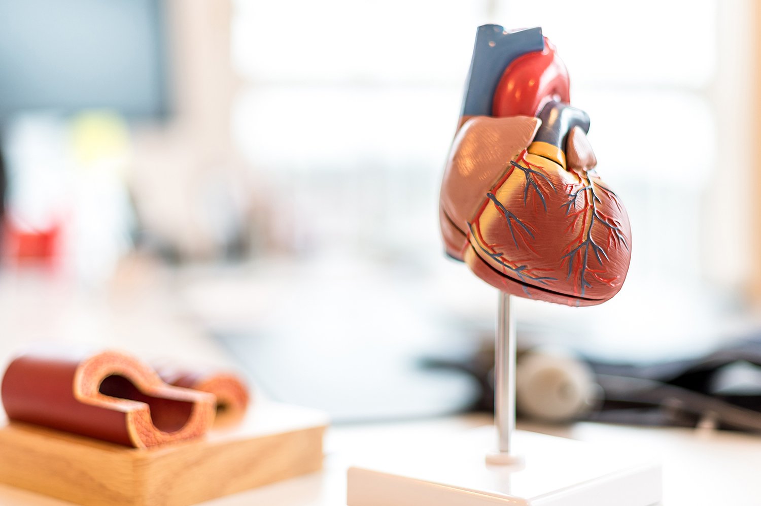 Gesundheitsvorsorge / Prävention