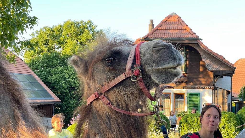 Fusionsfeier 2.6.2023 - Foto Monika Stock, Kirchberg