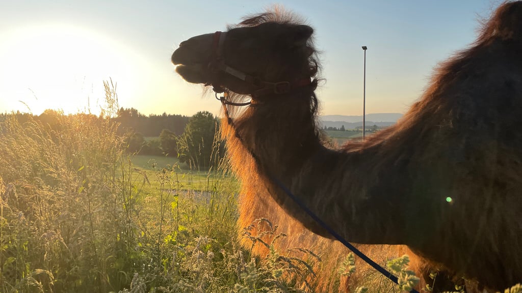 Fusionsfeier 2.6.2023 - Foto Monika Stock, Kirchberg