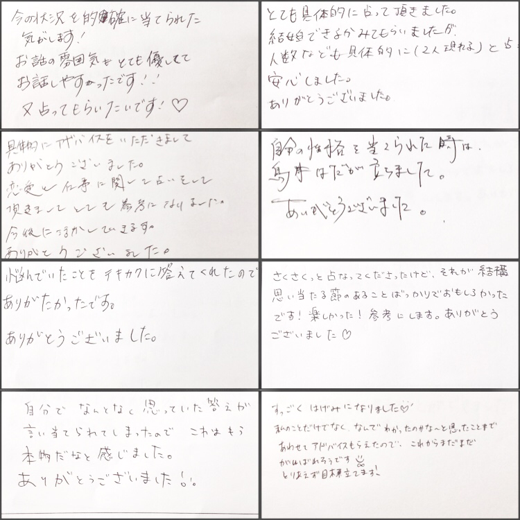 いただいたご感想の一部です