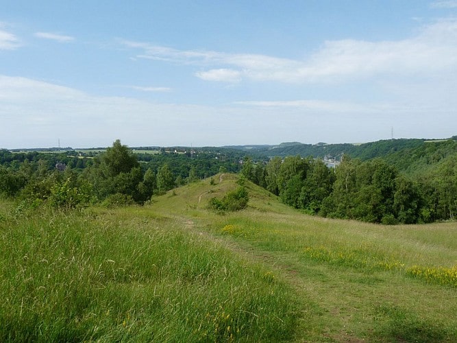 Activités autour de La Buissière -promenade avec les enfants pour une vue impressionnante sur la vallée de la Meuse