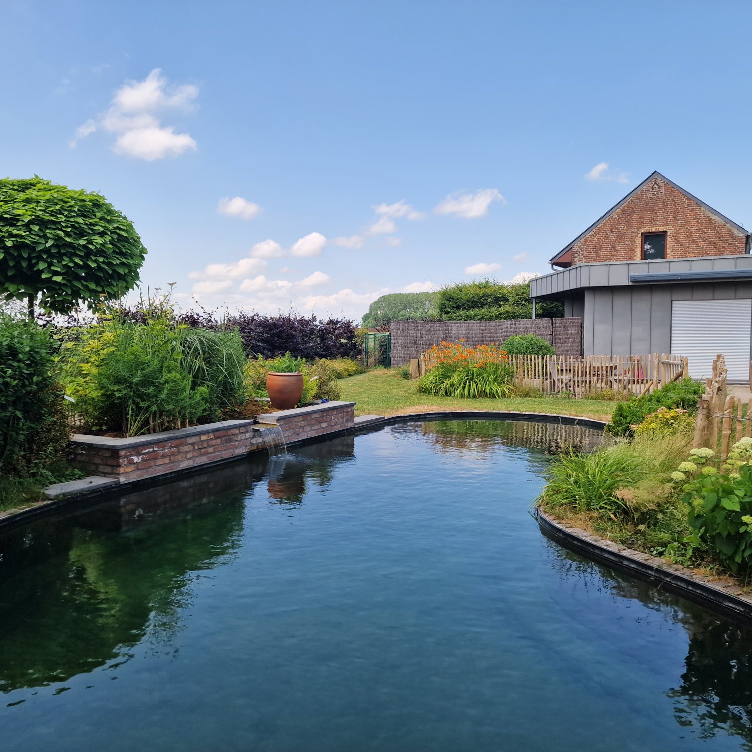 Comment fonctionne une piscine naturelle ?