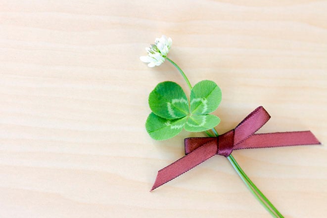 サービス　印刷物