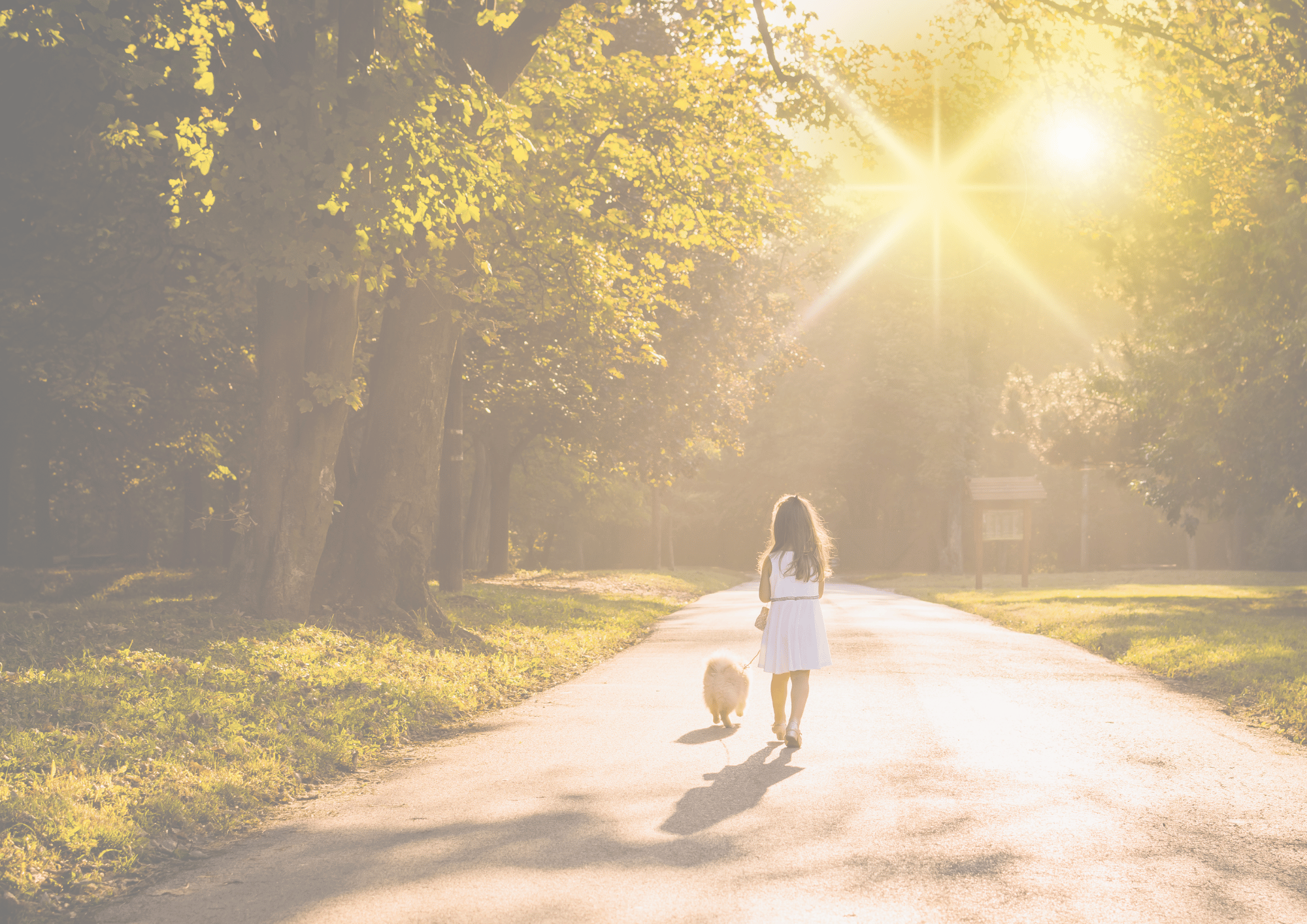 前世療法から使命を知る