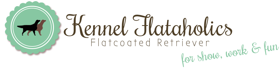 kennel-flataholicss Webseite!