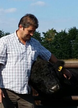 Bio Rind Dexter Bio Direktvermarktung Fleisch