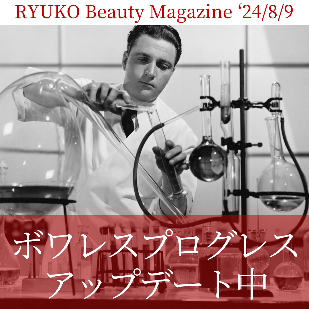 ボワレスプログレス、アップデート中