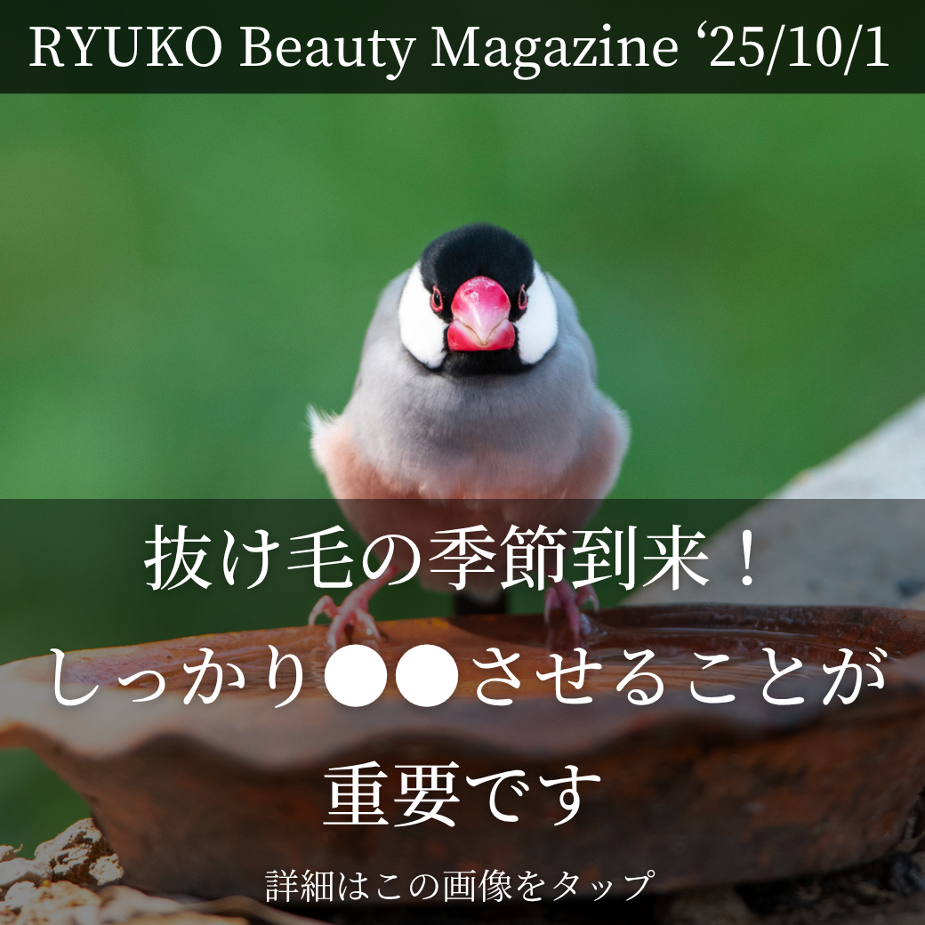 『抜け毛の季節到来！しっかり●●させることが重要です』