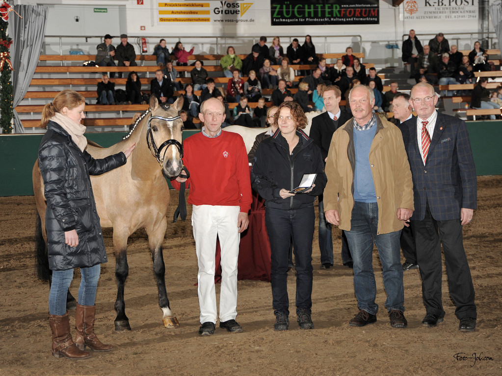 Ehrung Körung2011 "A new Star" 1.Reservesieger