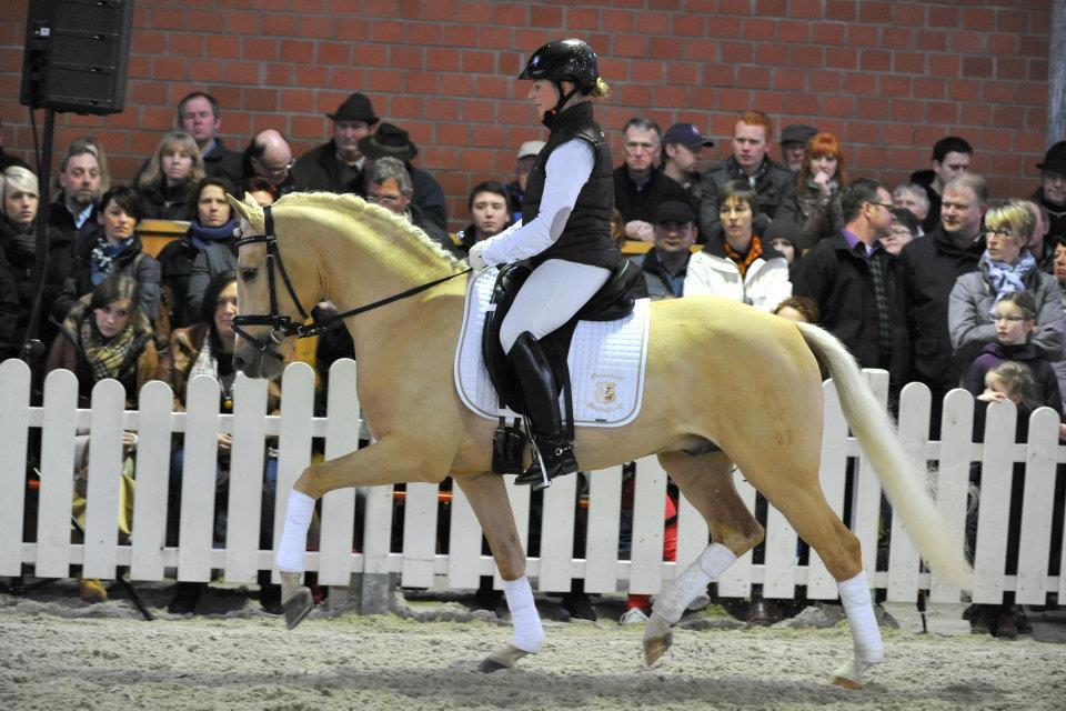 Foto:T. Lehmann-Golden State