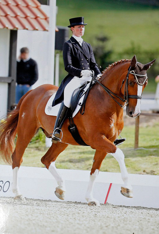 Hannibal in Hagen a.t.w