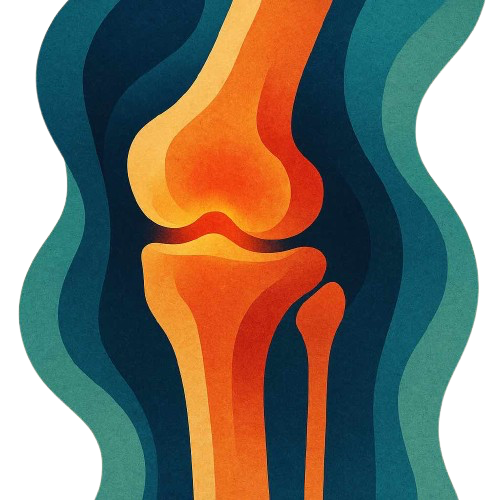 Ernährung bei Arthrose – entzündungshemmend essen