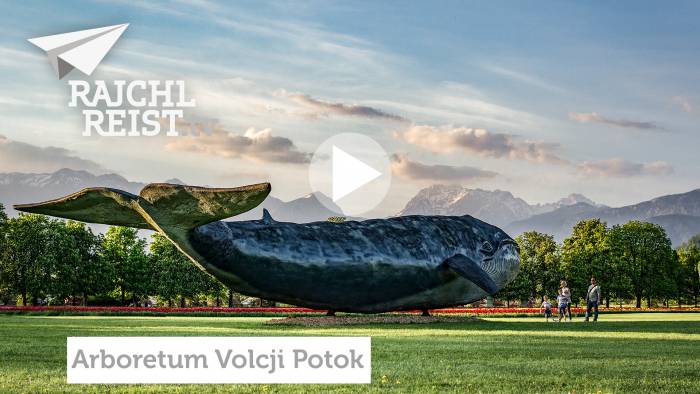 Unbekanntes Slowenien: Wie kommt der Wal in den Rosengarten?