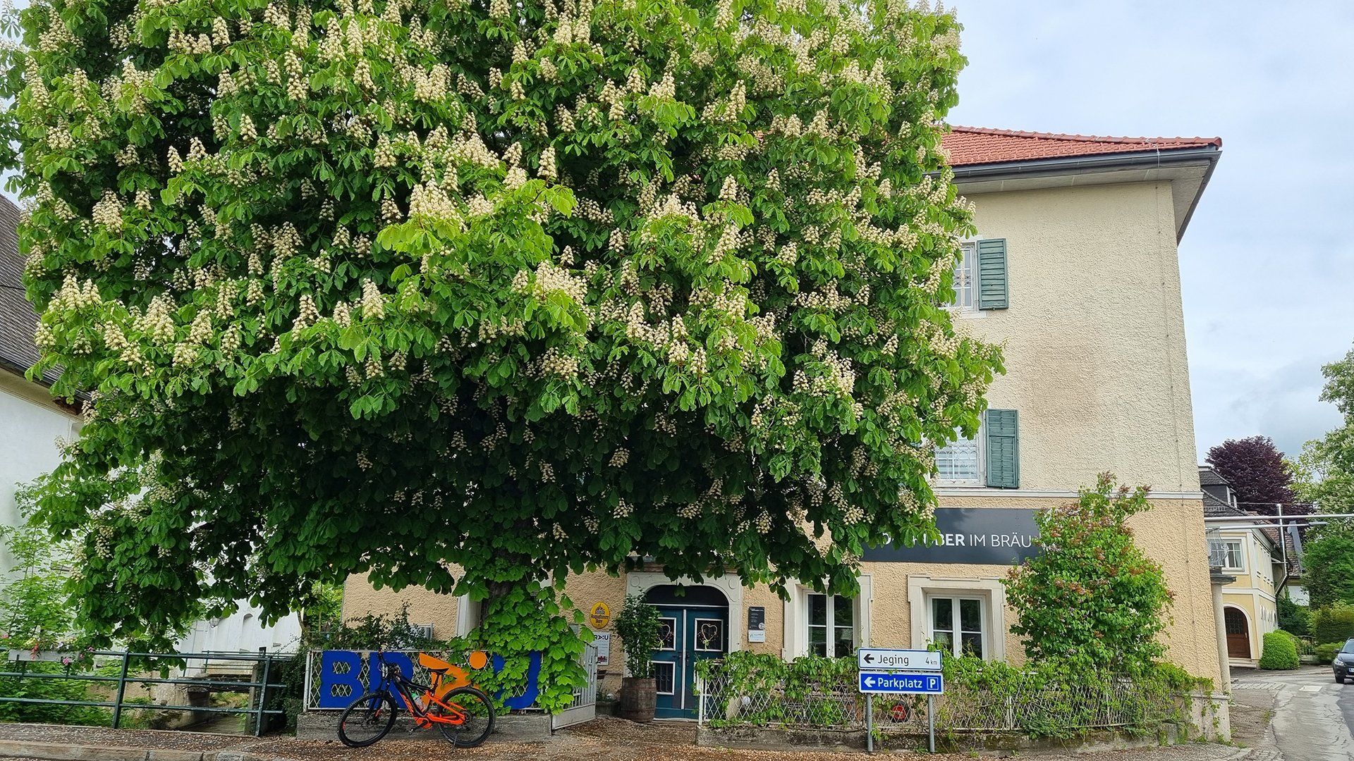 In diesem traditionellen Wirtshaus...