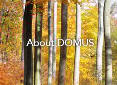 ドムス　コンセプト