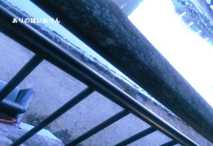 ありのばいおりんってカテゴリー