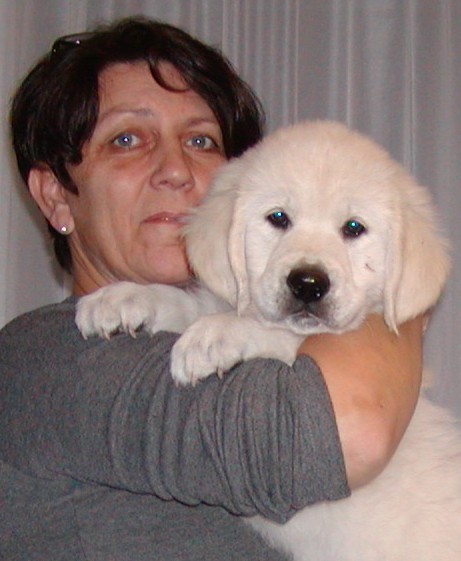 Diamond Power of Golden Dream Team (Duke)