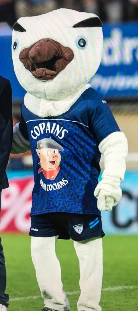 Partenaire Copains comme cochons