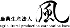 農業生産法人　株式会社 　風　所沢　食菜ぶんぶん