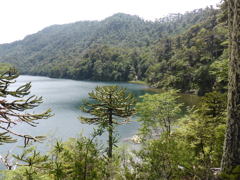Parque Nacional Huerquehue