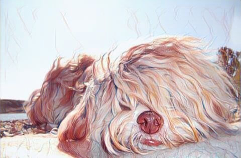 Gesunder Schlaf für ein glückliches Hundeleben