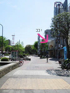 １１．桜並木をぬけると、右手にお店が見えてきました！