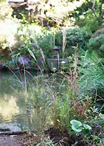 秋草のたわむれ -東京 小日向 本法寺-東京都文京区のお墓 永代供養墓 法要-