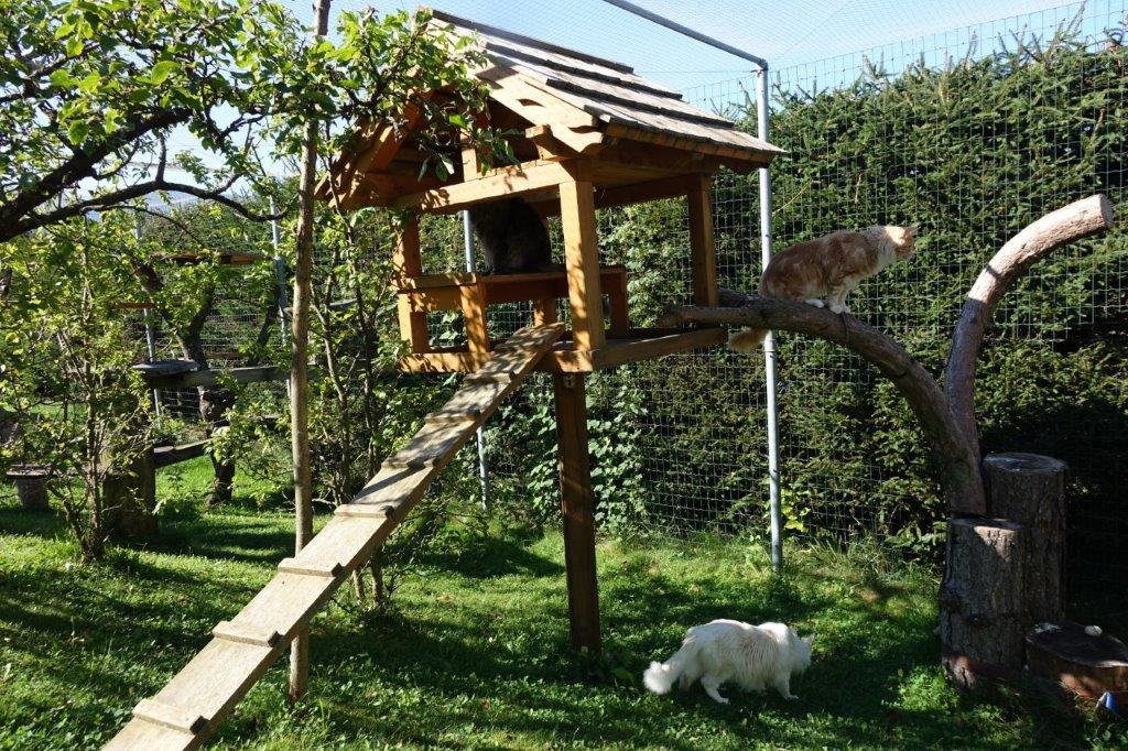 Fancycoons Freigehege