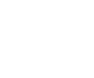 fancycoonss Webseite!
