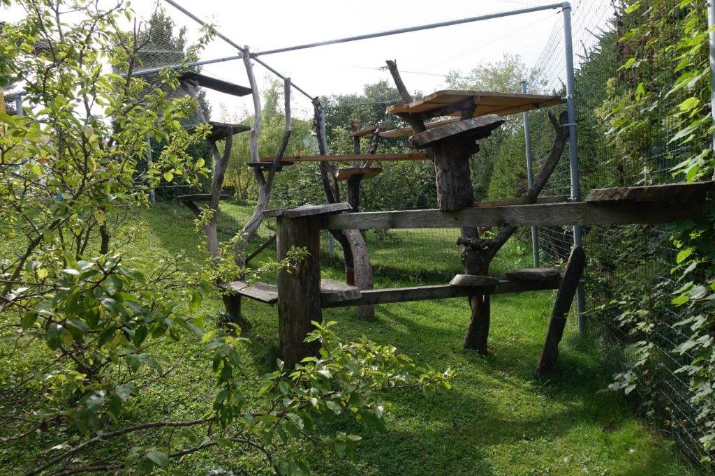 Fancycoons Freigehege