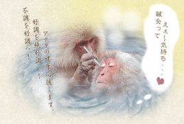 気持ちのいいハリをするサルと患者サル