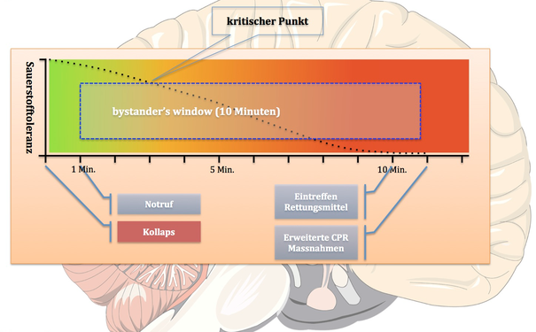 Das Bystanders-Window verdeutlicht die Wichtigkeit von Ersthelfenden eindrücklich.