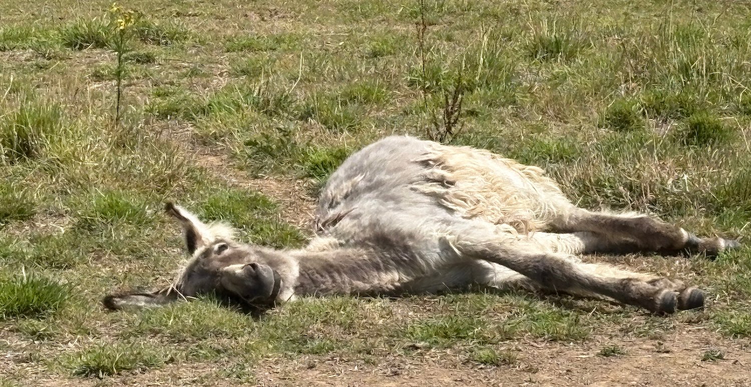 Leadership – was wichtig ist, wissen wir längst