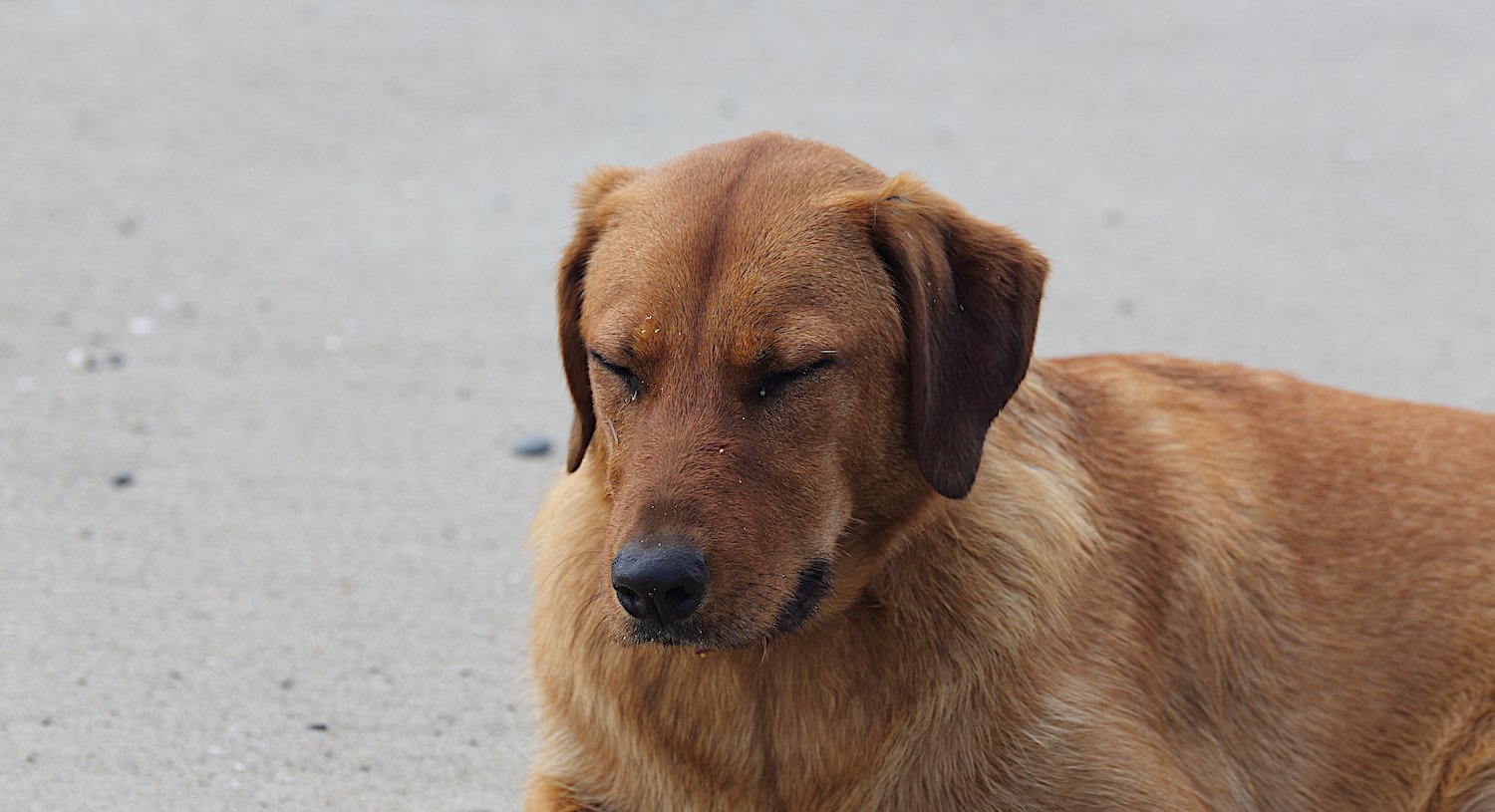 Leadership: zurück zu den Wurzeln