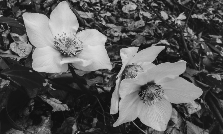 Choosing not to use social media for landscape photography