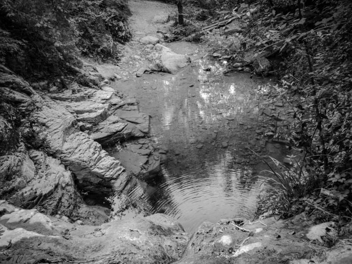 Black and white photo of a small lake in a forest seen from above