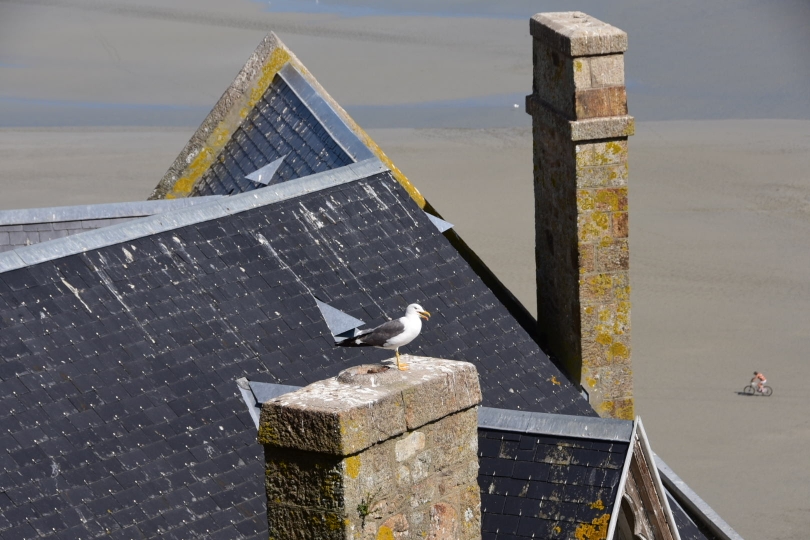 Und rundherum ist einfach nur Watt