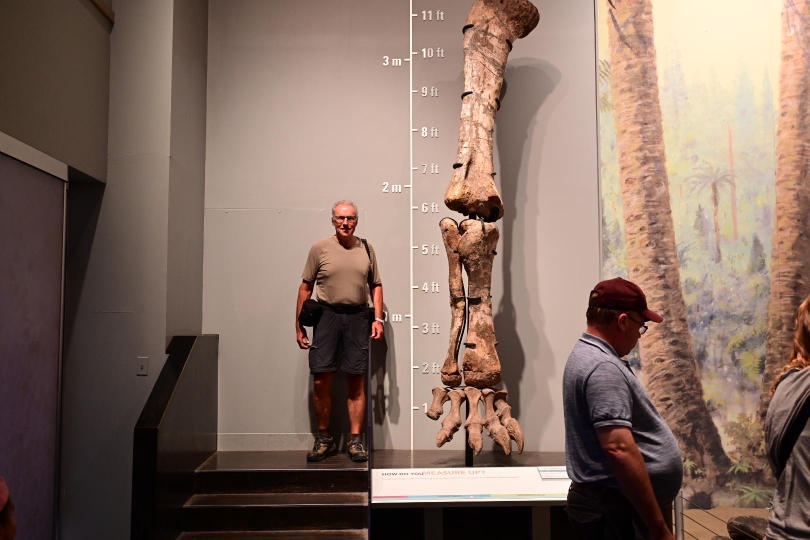 Wer hat hier nun die strammeren Radlerwaden?