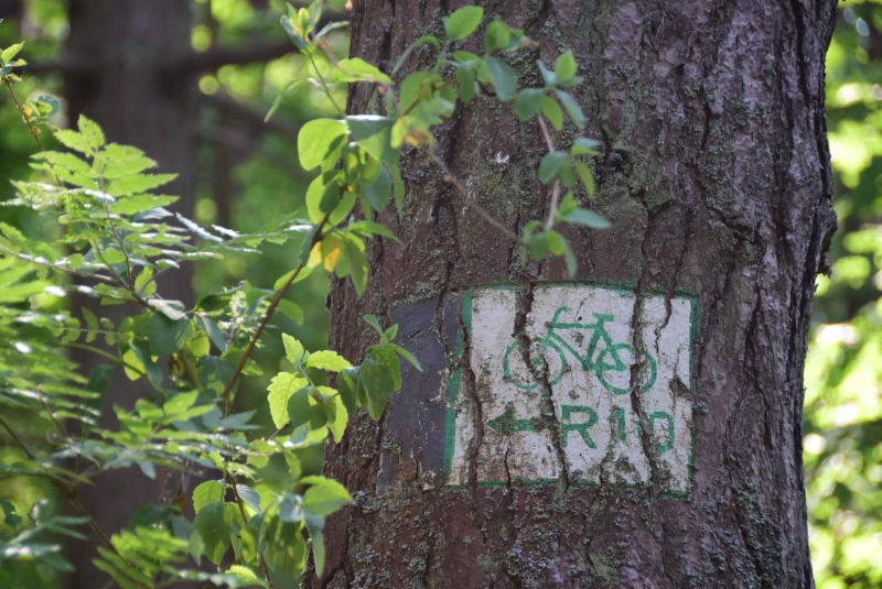Schön, wenn alles immer so eindeutig ist und man die Zeichen auch überhaupt findet