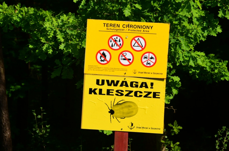 Und gleich im ersten Nationalpark weiß man, wie man den nicht ganz regeltreuen Besucher in seine Schranken weist