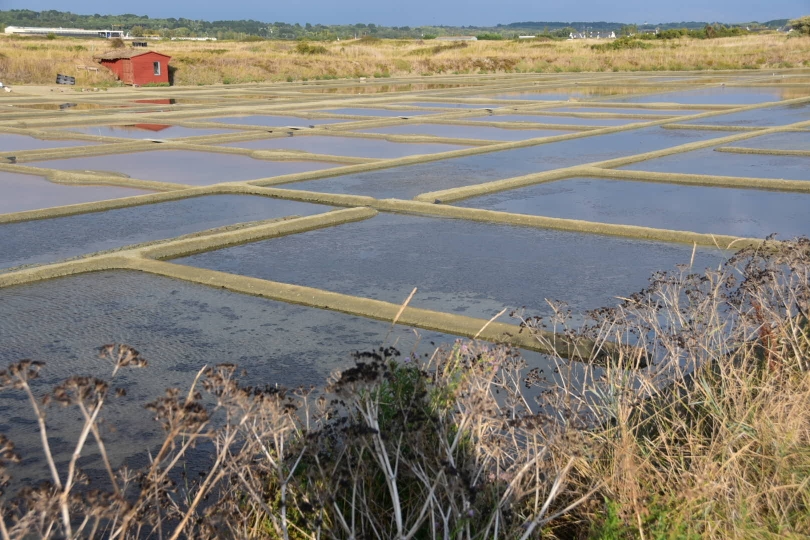 Ebene - und Salzgewinnung in den Weiten der Salinen