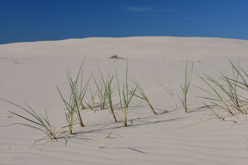Nur am Rand wächst spärliches Gras